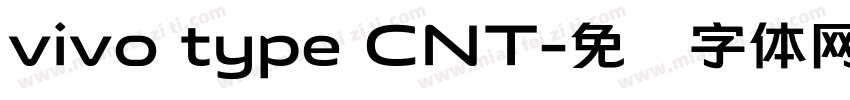 vivo type CNT字体转换